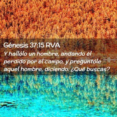Picture 02 - Génesis 37:15 RVA - Y hallólo un hombre, andando él perdido por el - Bible Verse Picture