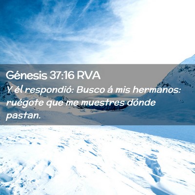 Picture 02 - Génesis 37:16 RVA - Y él respondió: Busco á mis hermanos: ruégote - Bible Verse Picture
