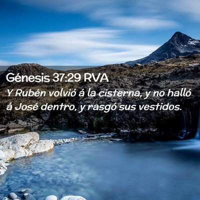 Picture 02 - Génesis 37:29 RVA - Y Rubén volvió á la cisterna, y no halló á - Bible Verse Picture