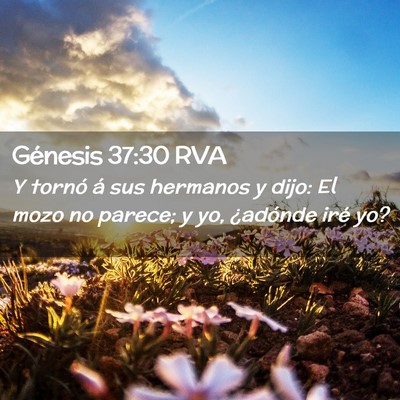 Picture 02 - Génesis 37:30 RVA - Y tornó á sus hermanos y dijo: El mozo no - Bible Verse Picture
