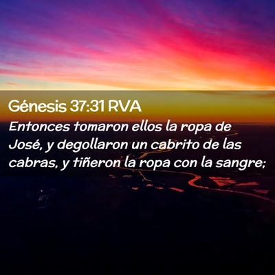 Picture 02 - Génesis 37:31 RVA - Entonces tomaron ellos la ropa de José, y - Bible Verse Picture