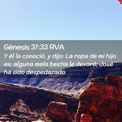 Picture 02 - Génesis 37:33 RVA - Y él la conoció, y dijo: La ropa de mi hijo es; - Bible Verse Picture