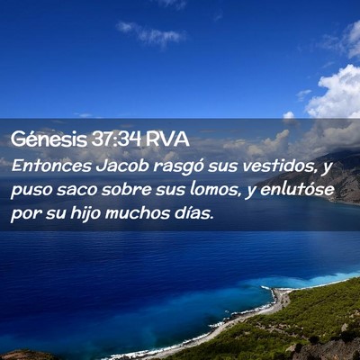 Picture 02 - Génesis 37:34 RVA - Entonces Jacob rasgó sus vestidos, y puso saco - Bible Verse Picture