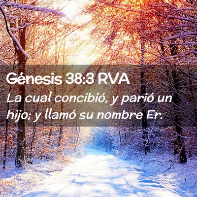 Picture 02 - Génesis 38:3 RVA - La cual concibió, y parió un hijo; y llamó su - Bible Verse Picture