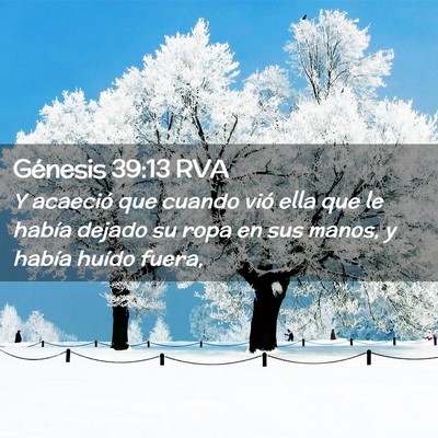 Picture 02 - Génesis 39:13 RVA - Y acaeció que cuando vió ella que le había - Bible Verse Picture