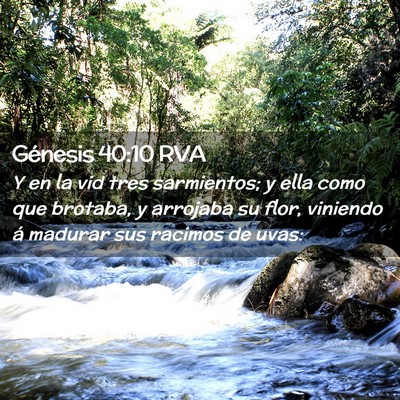 Picture 02 - Génesis 40:10 RVA - Y en la vid tres sarmientos; y ella como que - Bible Verse Picture