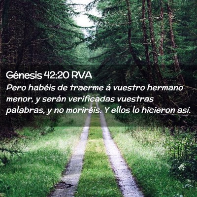 Picture 02 - Génesis 42:20 RVA - Pero habéis de traerme á vuestro hermano menor, - Bible Verse Picture