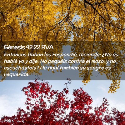Picture 02 - Génesis 42:22 RVA - Entonces Rubén les respondió, diciendo: ¿No os - Bible Verse Picture
