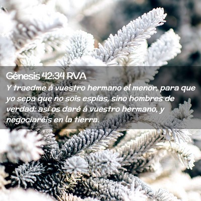 Picture 02 - Génesis 42:34 RVA - Y traedme á vuestro hermano el menor, para que - Bible Verse Picture