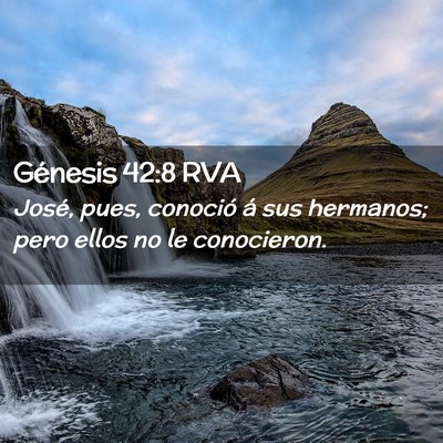 Picture 02 - Génesis 42:8 RVA - José, pues, conoció á sus hermanos; pero ellos - Bible Verse Picture