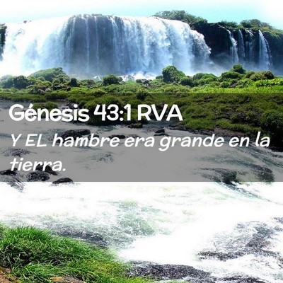 Picture 02 - Génesis 43:1 RVA - Y EL hambre era grande en la - Bible Verse Picture