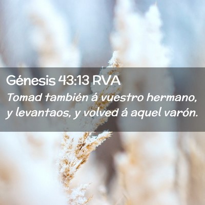 Picture 02 - Génesis 43:13 RVA - Tomad también á vuestro hermano, y levantaos, y - Bible Verse Picture