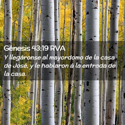 Picture 02 - Génesis 43:19 RVA - Y llegáronse al mayordomo de la casa de José, y - Bible Verse Picture