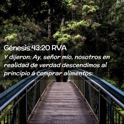 Picture 02 - Génesis 43:20 RVA - Y dijeron: Ay, señor mío, nosotros en realidad - Bible Verse Picture
