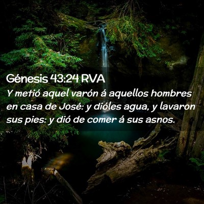 Picture 02 - Génesis 43:24 RVA - Y metió aquel varón á aquellos hombres en casa - Bible Verse Picture