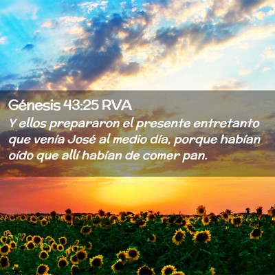 Picture 02 - Génesis 43:25 RVA - Y ellos prepararon el presente entretanto que - Bible Verse Picture