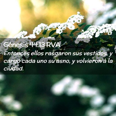 Picture 02 - Génesis 44:13 RVA - Entonces ellos rasgaron sus vestidos, y cargó - Bible Verse Picture