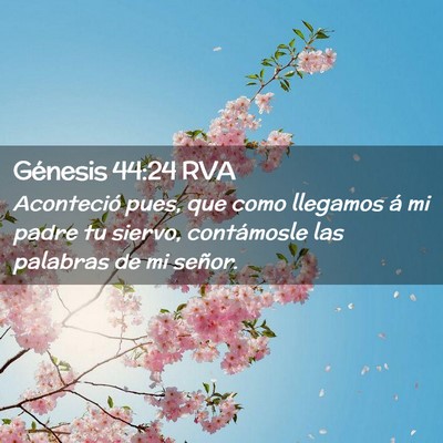 Picture 02 - Génesis 44:24 RVA - Aconteció pues, que como llegamos á mi padre tu - Bible Verse Picture