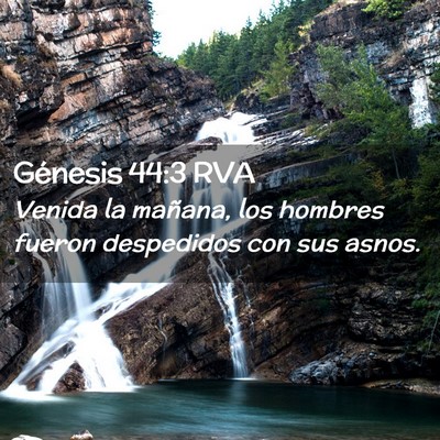 Picture 02 - Génesis 44:3 RVA - Venida la mañana, los hombres fueron despedidos - Bible Verse Picture