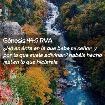Picture 02 - Génesis 44:5 RVA - ¿No es ésta en la que bebe mi señor, y por la - Bible Verse Picture