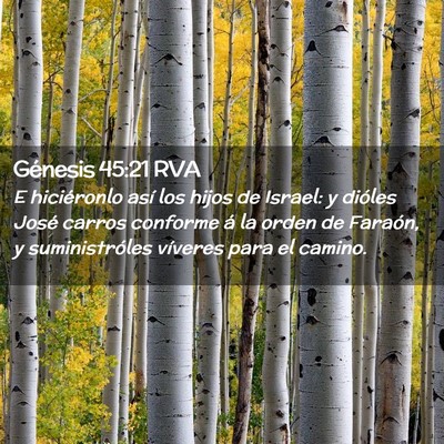 Picture 02 - Génesis 45:21 RVA - E hiciéronlo así los hijos de Israel: y dióles - Bible Verse Picture