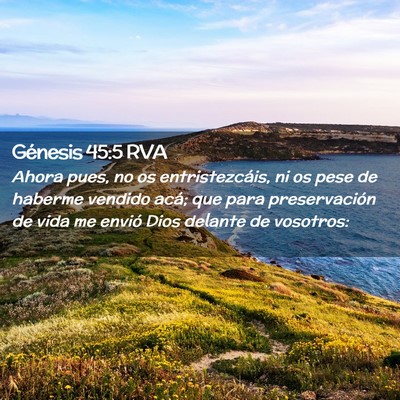 Picture 02 - Génesis 45:5 RVA - Ahora pues, no os entristezcáis, ni os pese de - Bible Verse Picture