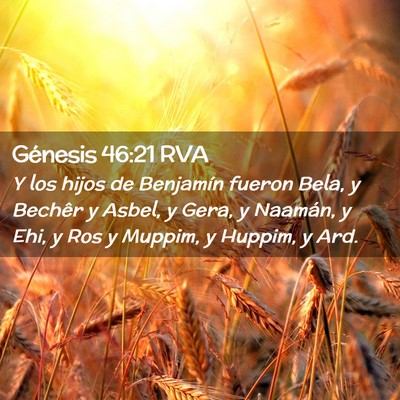 Picture 02 - Génesis 46:21 RVA - Y los hijos de Benjamín fueron Bela, y Bechêr y - Bible Verse Picture