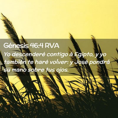 Picture 02 - Génesis 46:4 RVA - Yo descenderé contigo á Egipto, y yo también - Bible Verse Picture