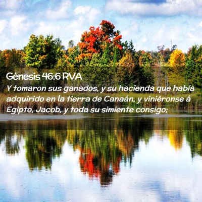 Picture 02 - Génesis 46:6 RVA - Y tomaron sus ganados, y su hacienda que había - Bible Verse Picture