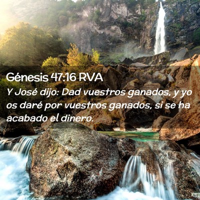 Picture 02 - Génesis 47:16 RVA - Y José dijo: Dad vuestros ganados, y yo os daré - Bible Verse Picture