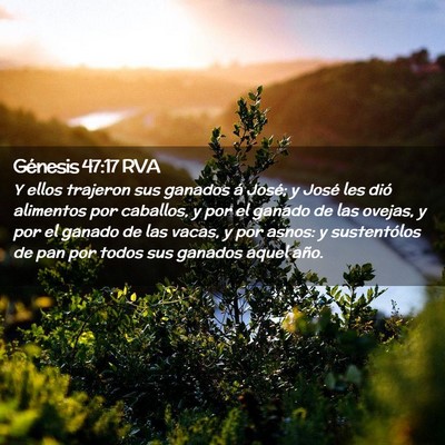 Picture 02 - Génesis 47:17 RVA - Y ellos trajeron sus ganados á José; y José - Bible Verse Picture