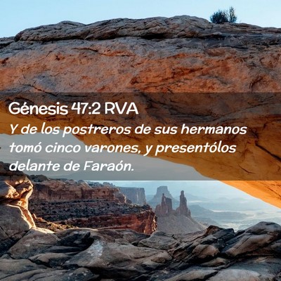 Picture 02 - Génesis 47:2 RVA - Y de los postreros de sus hermanos tomó cinco - Bible Verse Picture