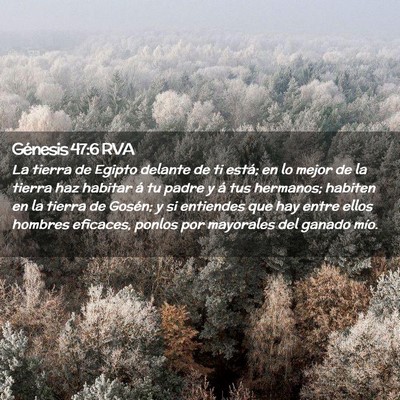 Picture 02 - Génesis 47:6 RVA - La tierra de Egipto delante de ti está; en lo - Bible Verse Picture