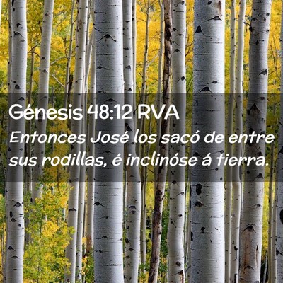 Picture 02 - Génesis 48:12 RVA - Entonces José los sacó de entre sus rodillas, - Bible Verse Picture