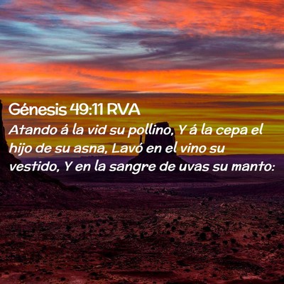 Picture 02 - Génesis 49:11 RVA - Atando á la vid su pollino, Y á la cepa el hijo - Bible Verse Picture