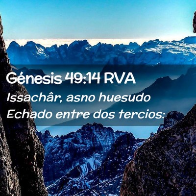 Picture 02 - Génesis 49:14 RVA - Issachâr, asno huesudo Echado entre dos - Bible Verse Picture