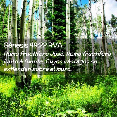 Picture 02 - Génesis 49:22 RVA - Ramo fructífero José, Ramo fructífero junto á - Bible Verse Picture