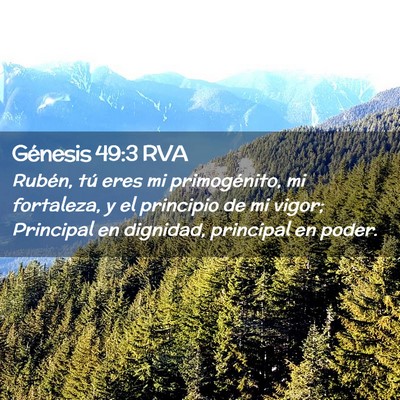 Picture 02 - Génesis 49:3 RVA - Rubén, tú eres mi primogénito, mi fortaleza, y - Bible Verse Picture
