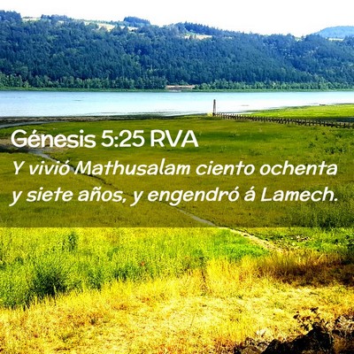 Picture 02 - Génesis 5:25 RVA - Y vivió Mathusalam ciento ochenta y siete años, - Bible Verse Picture