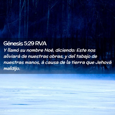 Picture 02 - Génesis 5:29 RVA - Y llamó su nombre Noé, diciendo: Este nos - Bible Verse Picture
