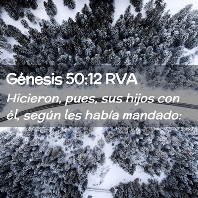 Picture 02 - Génesis 50:12 RVA - Hicieron, pues, sus hijos con él, según les - Bible Verse Picture