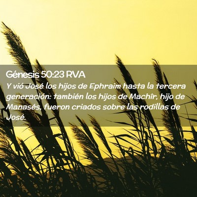 Picture 02 - Génesis 50:23 RVA - Y vió José los hijos de Ephraim hasta la - Bible Verse Picture