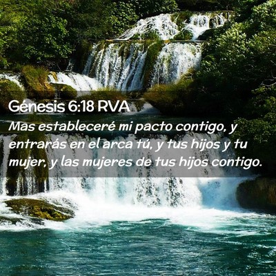 Picture 02 - Génesis 6:18 RVA - Mas estableceré mi pacto contigo, y entrarás en - Bible Verse Picture