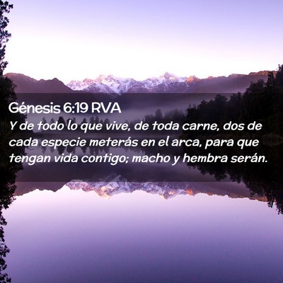 Picture 02 - Génesis 6:19 RVA - Y de todo lo que vive, de toda carne, dos de cada - Bible Verse Picture