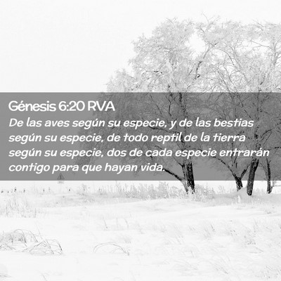 Picture 02 - Génesis 6:20 RVA - De las aves según su especie, y de las bestias - Bible Verse Picture