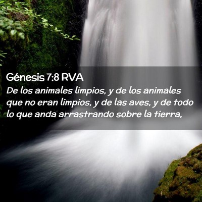 Picture 02 - Génesis 7:8 RVA - De los animales limpios, y de los animales que no - Bible Verse Picture