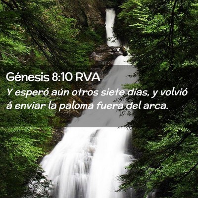 Picture 02 - Génesis 8:10 RVA - Y esperó aún otros siete días, y volvió á - Bible Verse Picture
