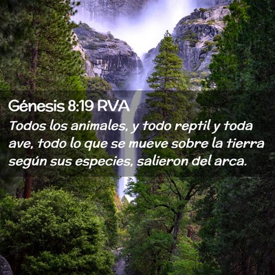 Picture 02 - Génesis 8:19 RVA - Todos los animales, y todo reptil y toda ave, - Bible Verse Picture
