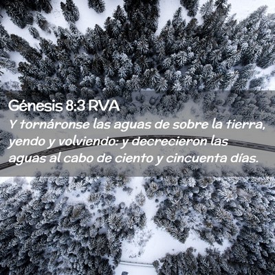 Picture 02 - Génesis 8:3 RVA - Y tornáronse las aguas de sobre la tierra, yendo - Bible Verse Picture
