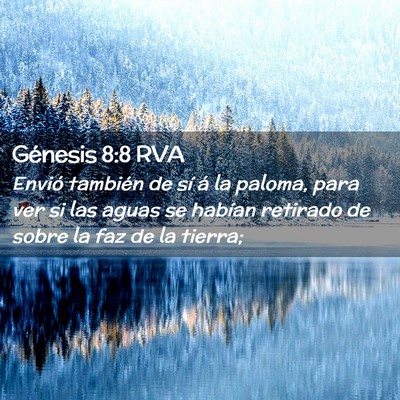 Picture 02 - Génesis 8:8 RVA - Envió también de sí á la paloma, para ver si - Bible Verse Picture
